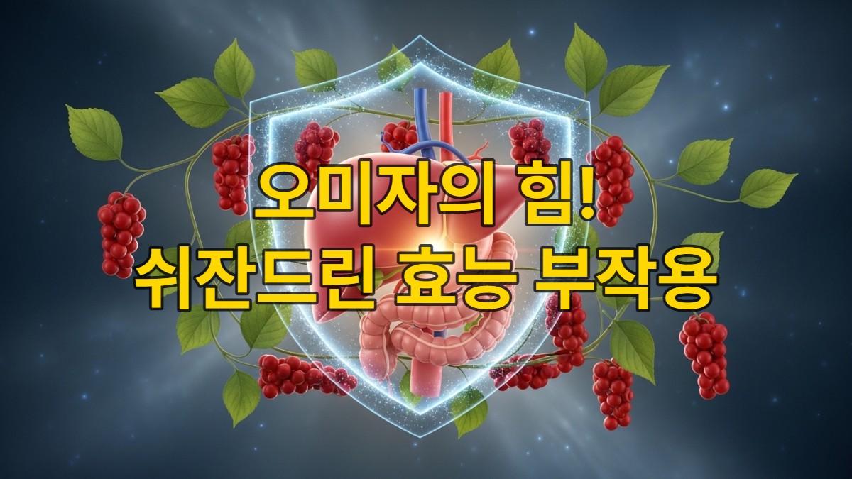 푸른빛과 회색빛 배경에 활기찬 간이 보호막에 싸여 있고, 오미자 열매와 덩굴이 감싸고 있는 모습. 간 건강과 자연 유래 성분의 조화를 표현한 이미지입니다.