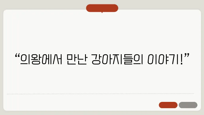 의왕강아지보호소 분위기