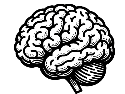 포스파티딜 세린 효능