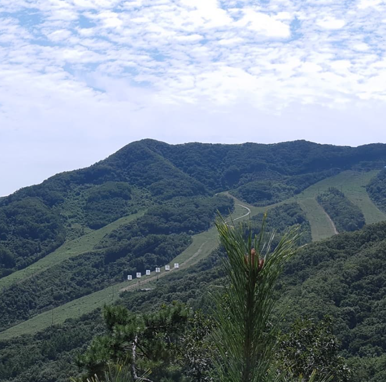화담숲 벚꽃 개화시기 명소
