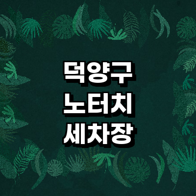 고양 덕양구 노터치 세차