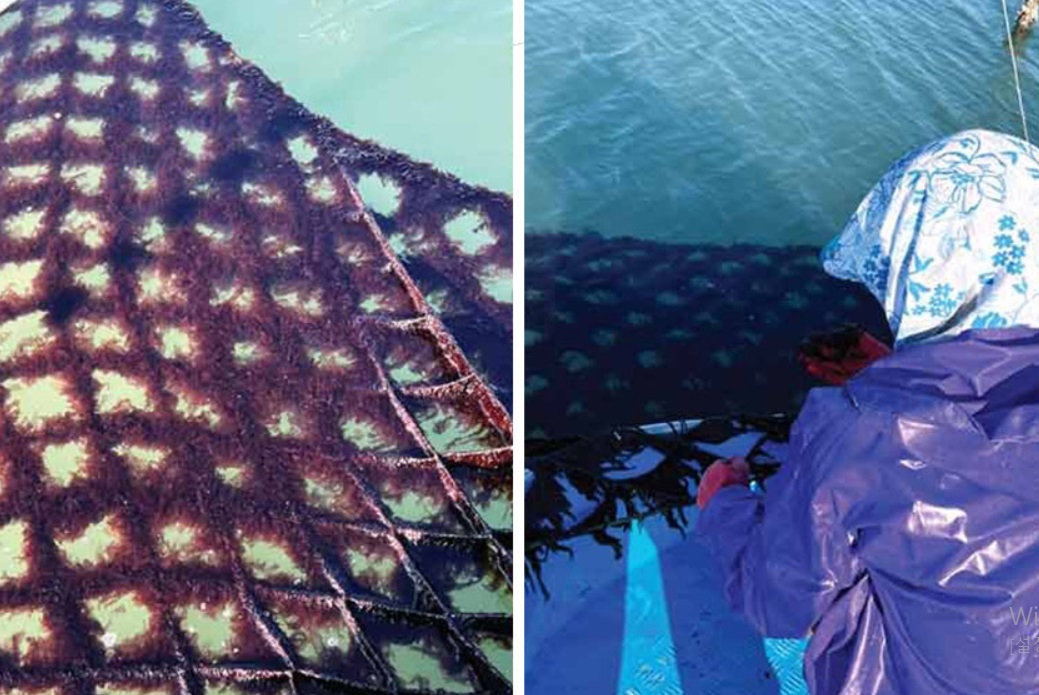 해남-곱창김-해남별