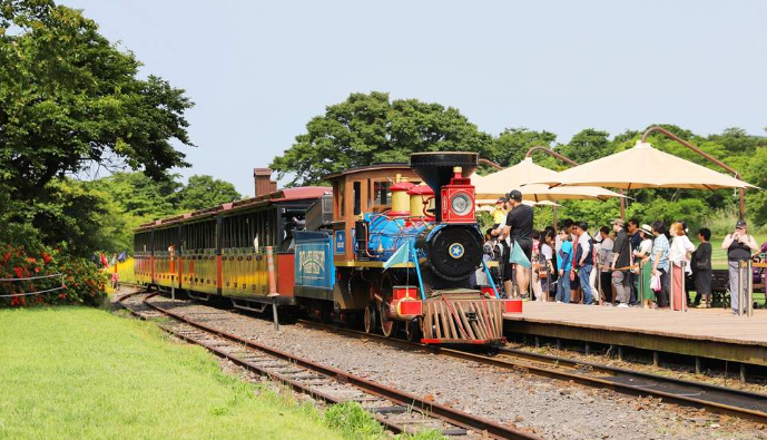 에코랜드-테마파크-기차