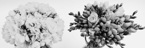 천진난만, 자기 사랑, 무언가를 청함