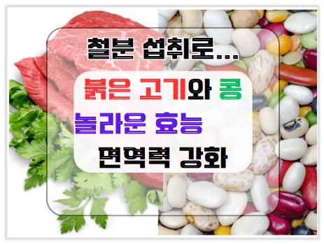 철분 섭취로 면역력 강화! 붉은 고기와 콩의 놀라운 효능