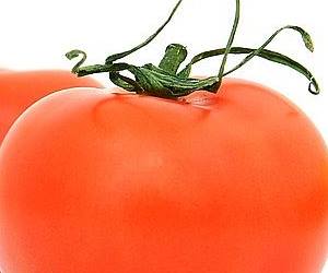 당뇨에 좋은 음식은 혈당지수가 낮은 음식으로 토마토가 있어요