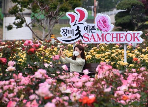 장미 꽃말
