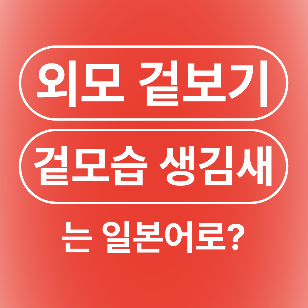 외모 겉보기 겉모습 생김새 일본어로