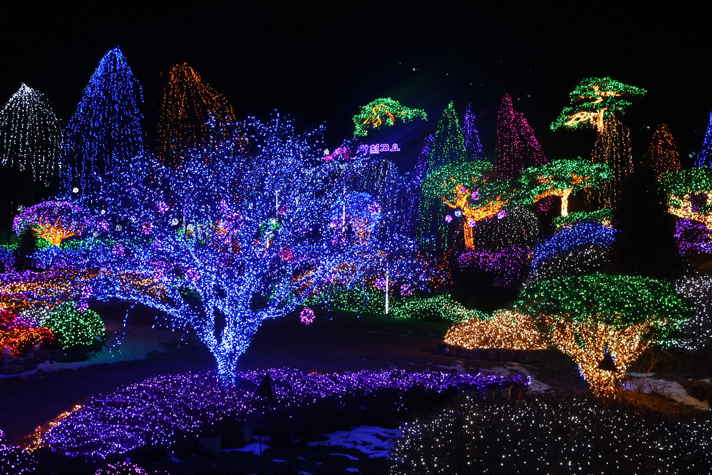 크리스마스 데이트 장소 추천 남이섬