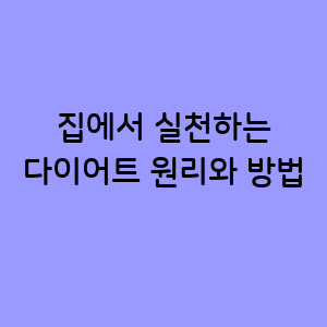 집에서 실천하는 다이어트 원리와 방법