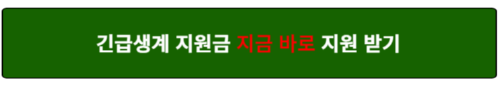 긴급생계지원 방법