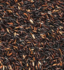 흑미 효능 놀라운 10가지 부작용 칼로리 고르는법