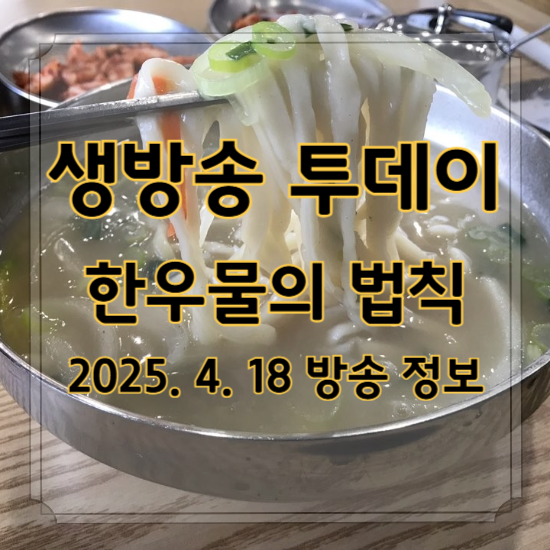 생방송 투데이 한우물의 법칙