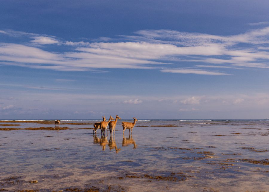 발리 자유여행 방문할 수 있는 가장 아름다운 장소 가볼만한 곳