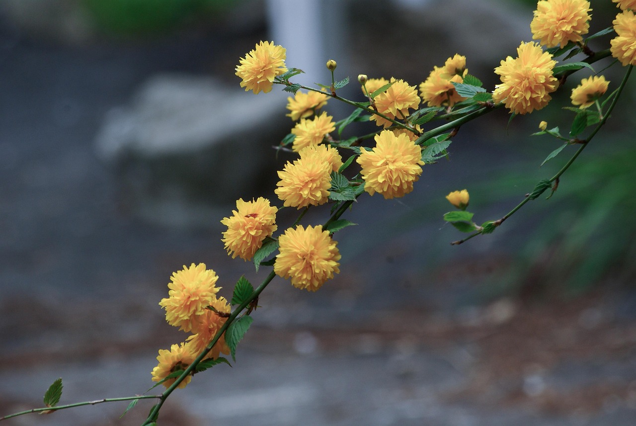 초보 부모를 위한 성장단계 육아 가이드 (초보 부모, 성장단계, 육아법) 관련 사진