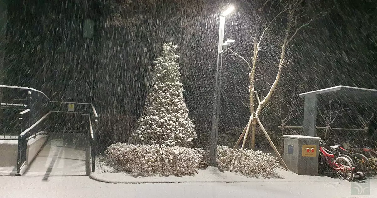 함박눈 내리던 날2