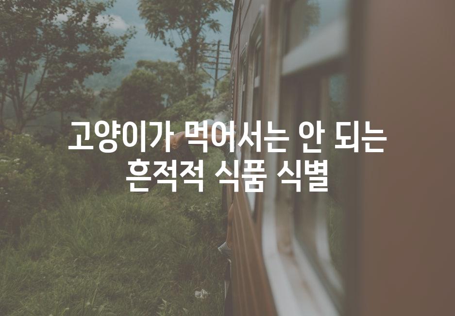 고양이가 먹어서는 안 되는 흔적적 식품 식별