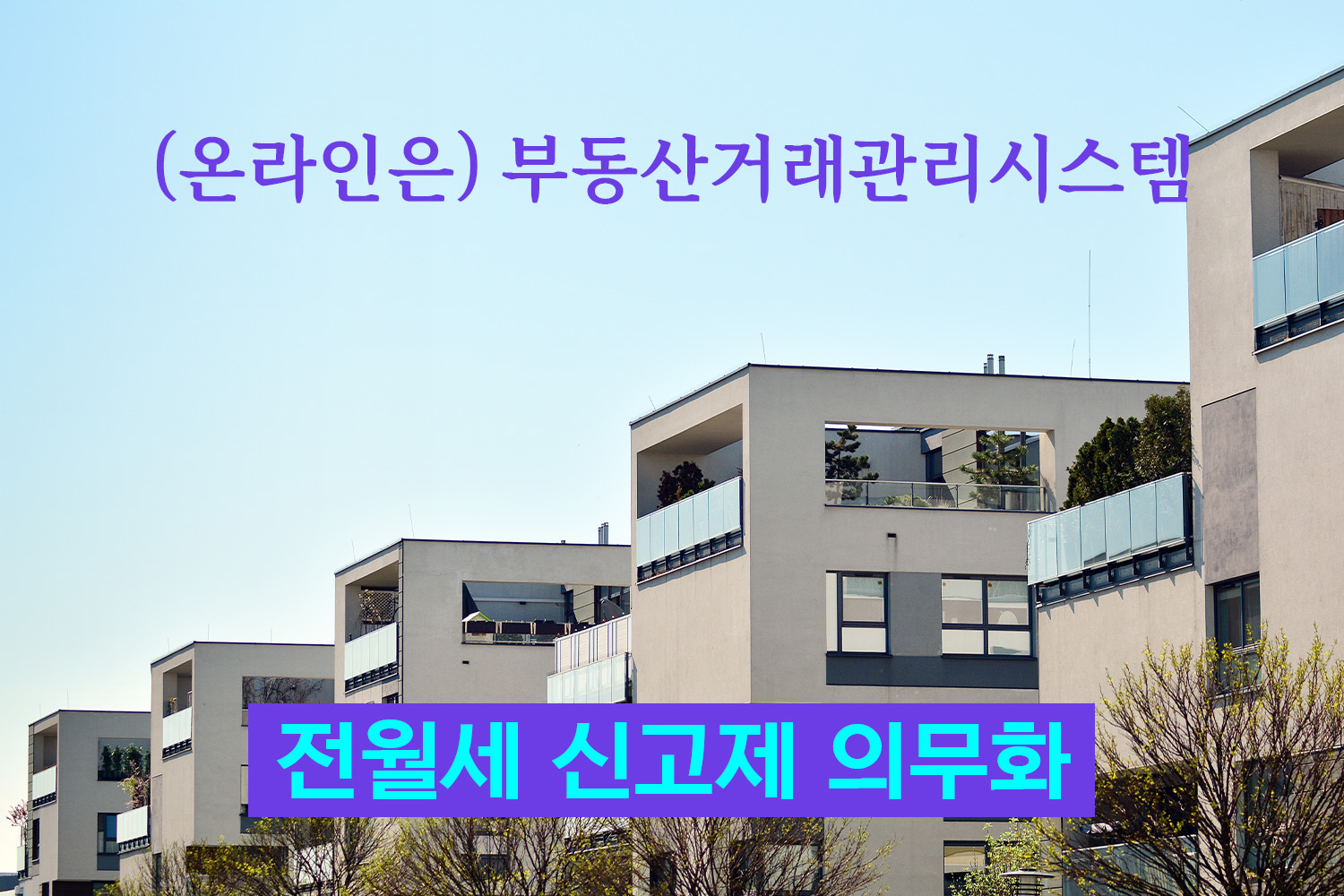 전월세신고제 방법
