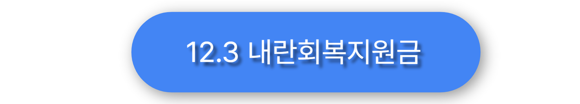 12.3 내란회복지원금 이미지