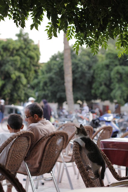 거북목 증후군 교정을 위해 벽에 기대어 목과 어깨의 정렬 상태를 체크하는 자가 진단 모습