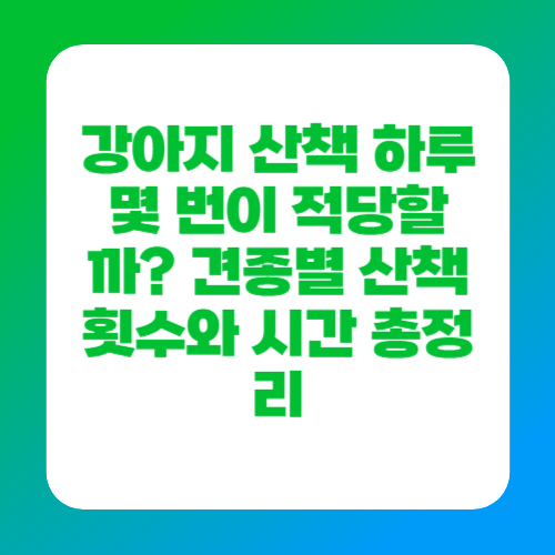 강아지 산책 하루 몇 번이 적당할까? 견종별 산책 횟수와 시간 총정리