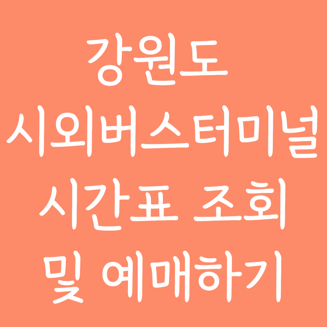 강원도 시외버스터미널 시간표 조회 및 예매하기
