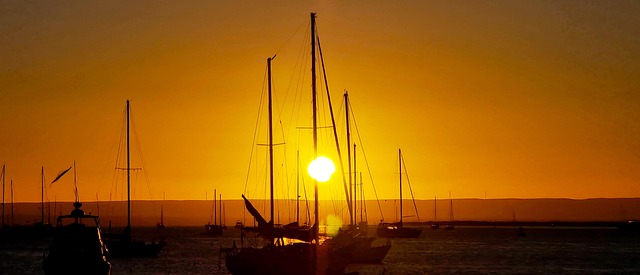 배 관련 이미지