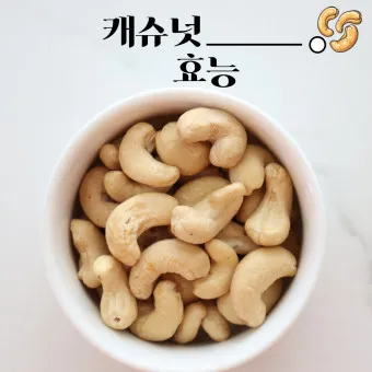 캐슈넛 효능 부작용 섭취량_4