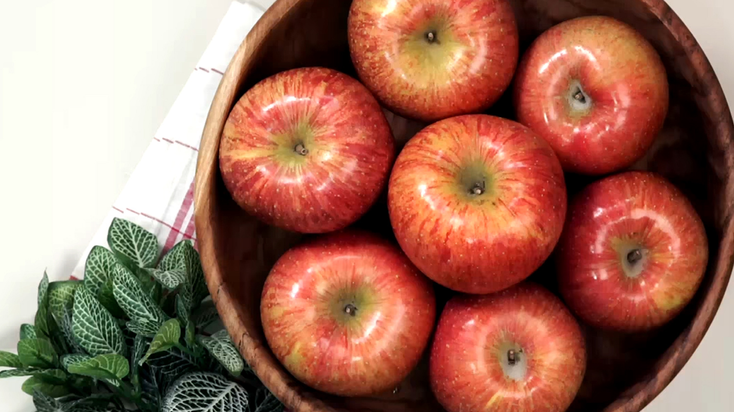 문경 사과 축제