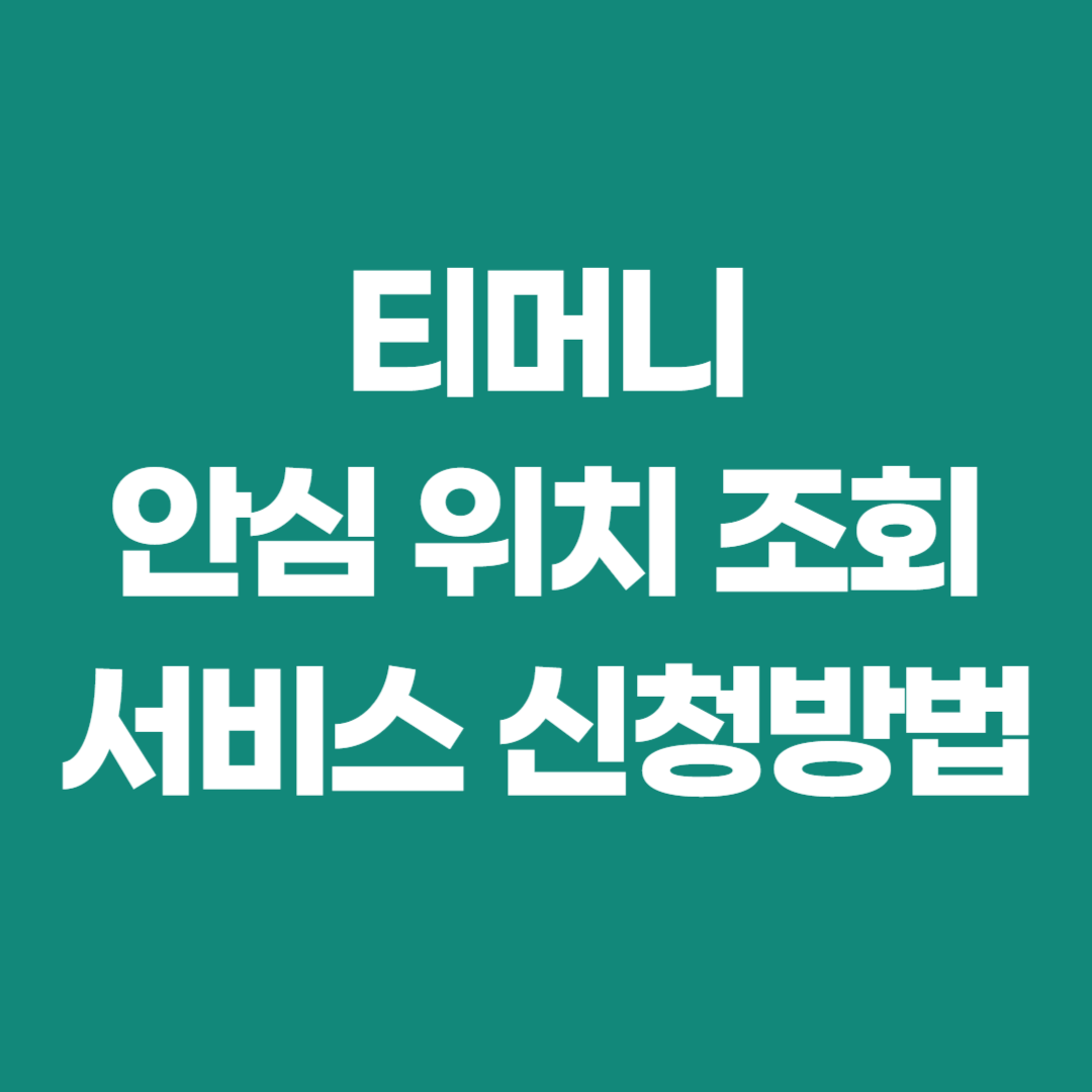 티머니 안심위치조회서비스 이미지