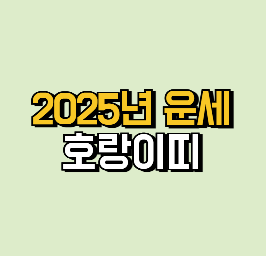 신년 운세(86년 호랑이띠)