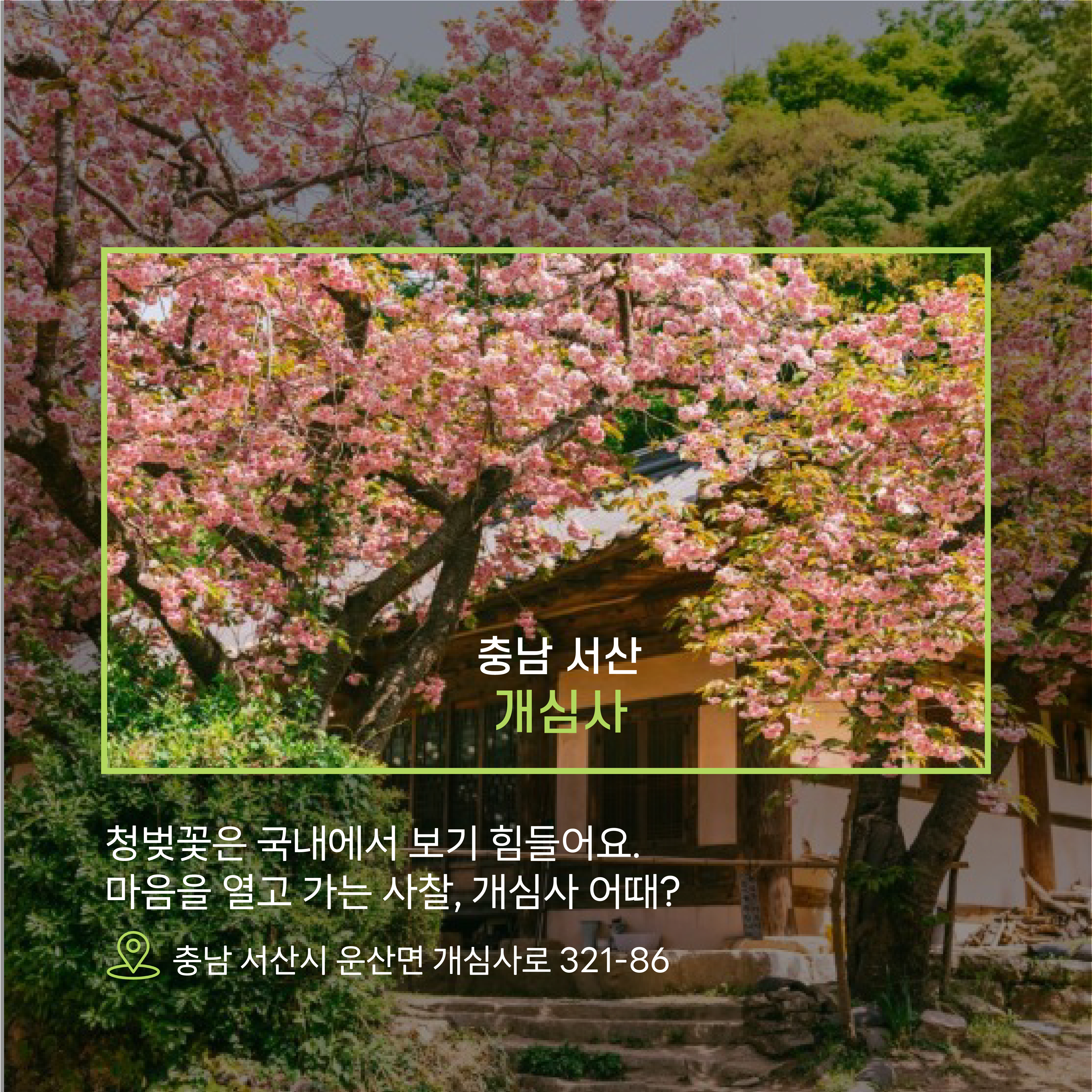 충남서산개심사