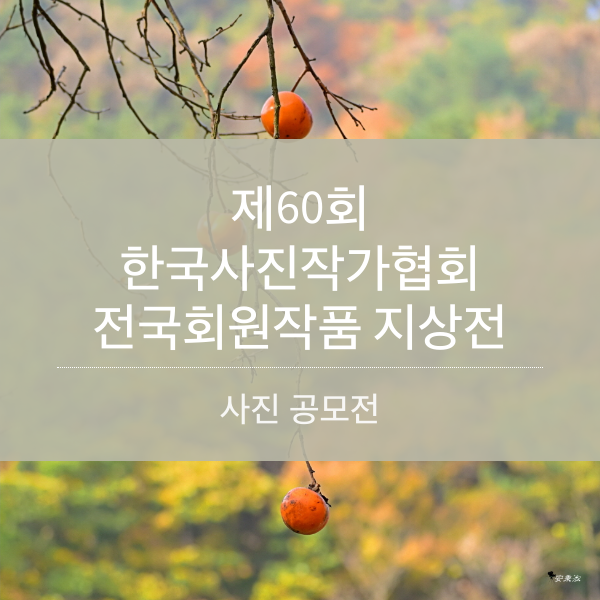 제60회 한국사진작가협회 전국회원작품 지상전