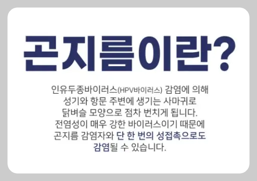 곤지름