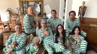 브루스 윌리스 치매 나이 아내 데미 무어 딸 근황 출연영화 프로필