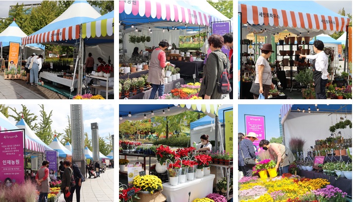 고양가을꽃축제