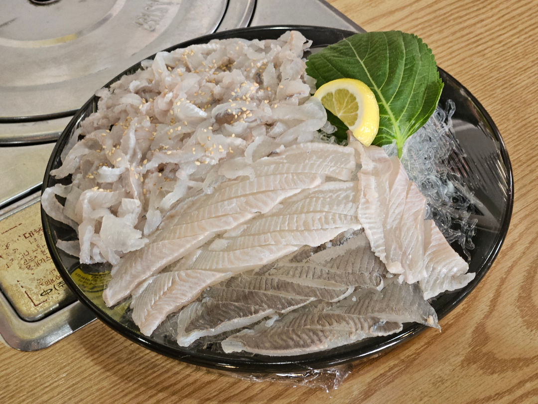 도다리 회