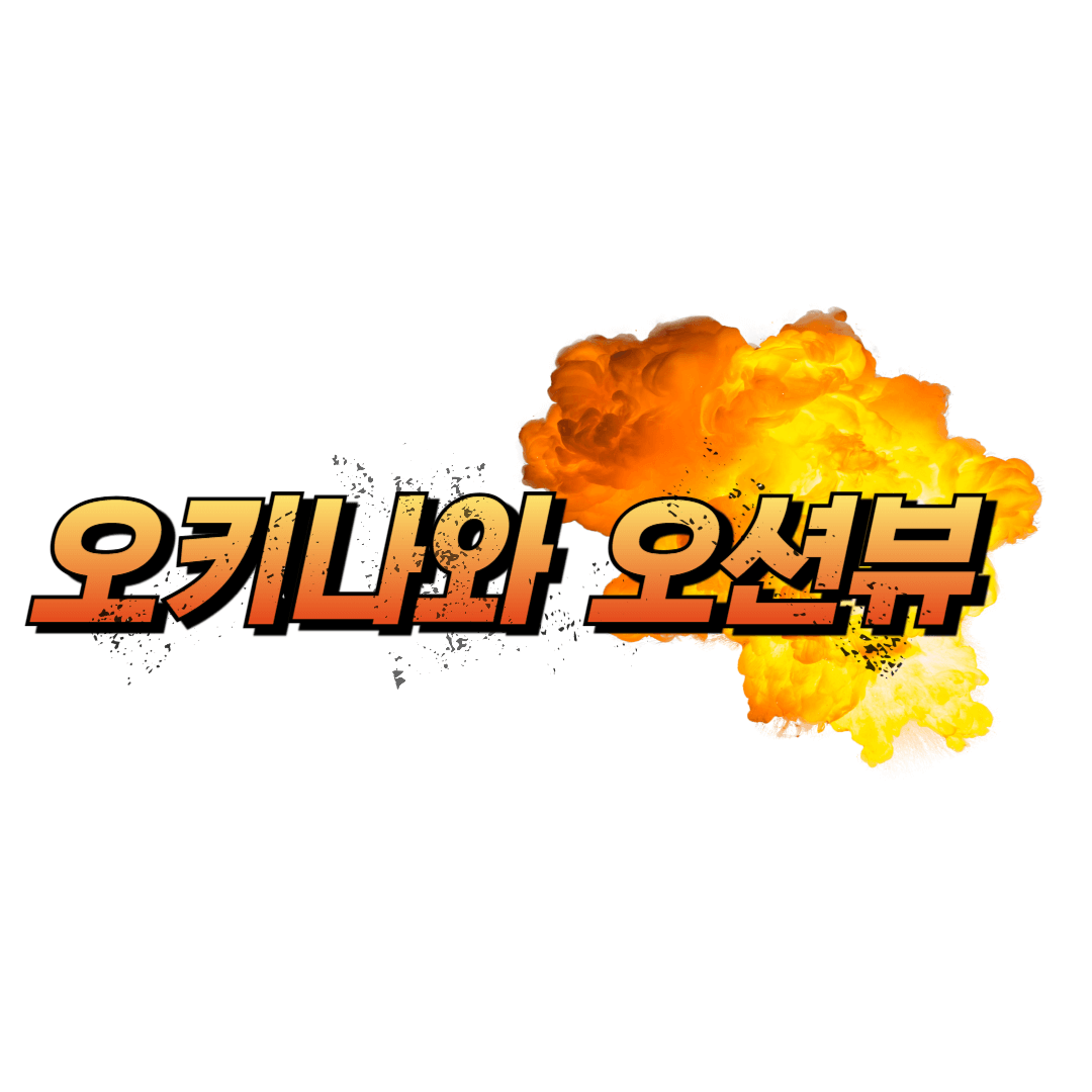 오키나와 오션뷰