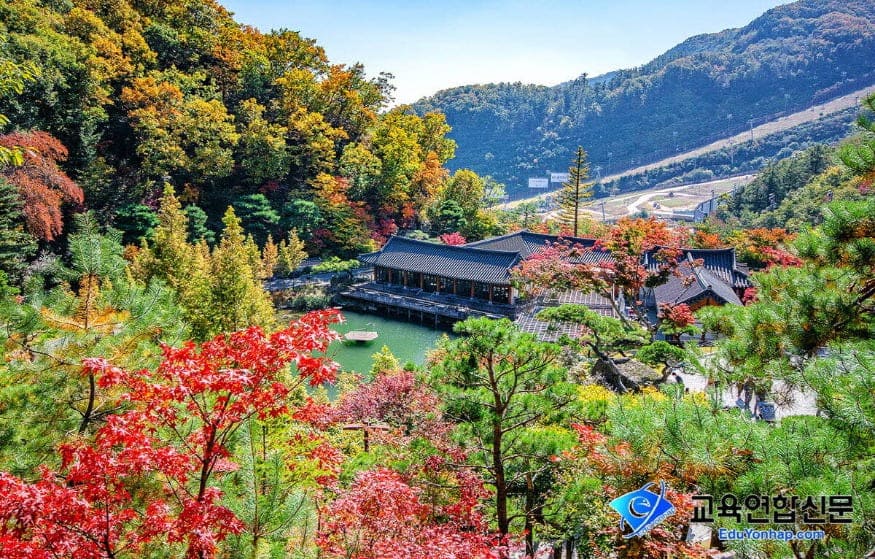 화담숲 방문 후기 2025: 계절별 풍경과 꼭 알아야 할 팁