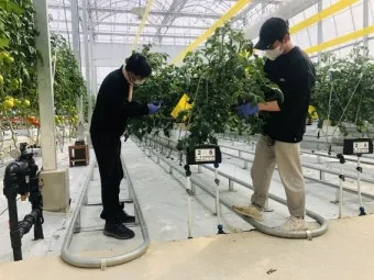 농업 교육 수강 농업기술센터 온라인 강좌 자격증 실습 정보_4