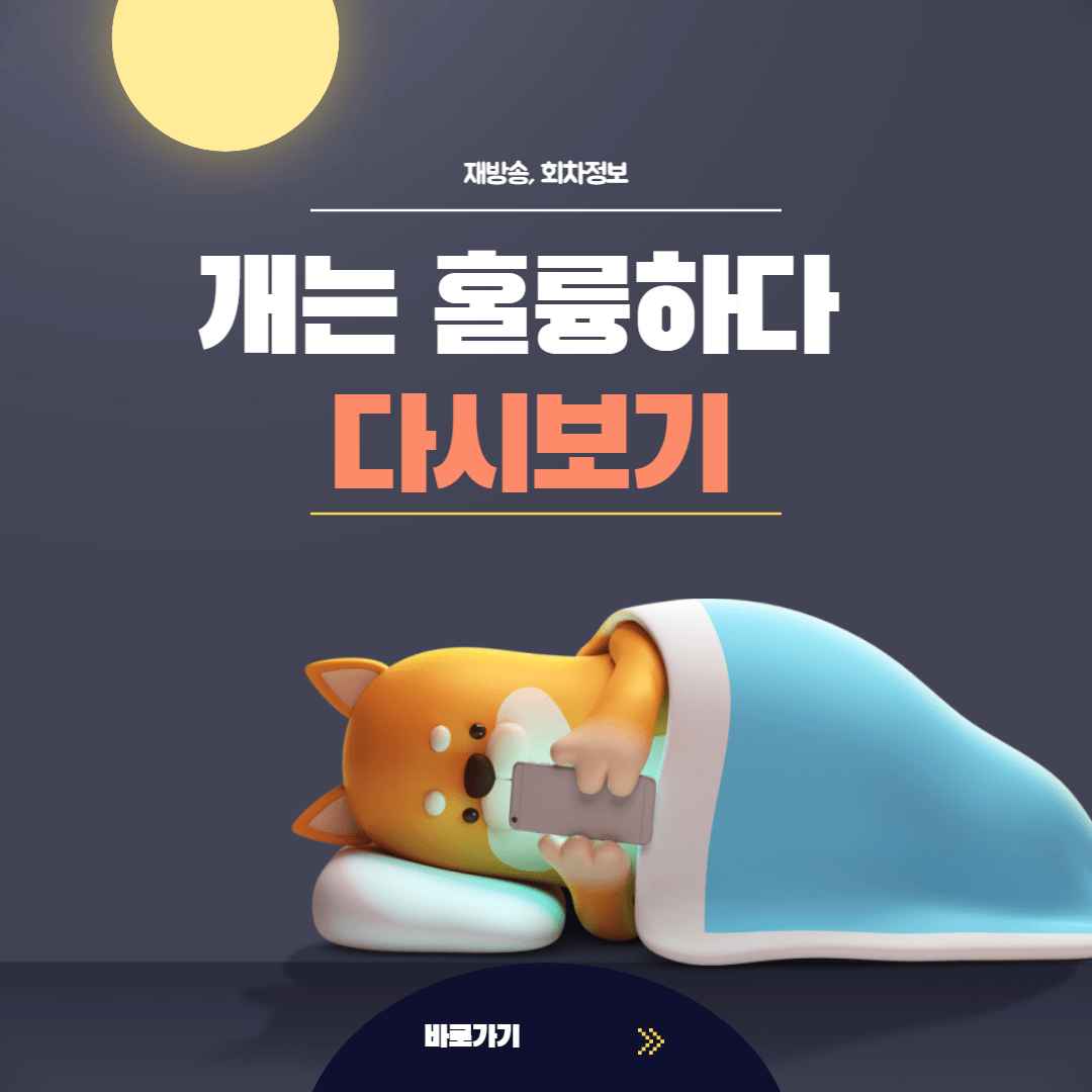달밤에 강아지가 핸드폰 보는 썸네일