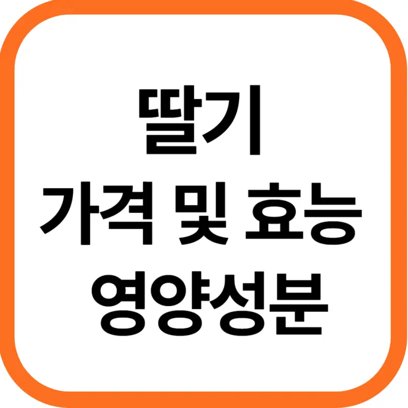 딸기 가격 및 효능 영양성분