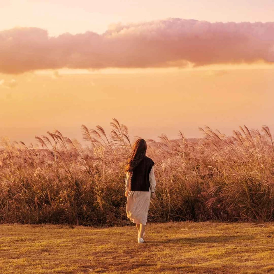 구팔일 억새바당