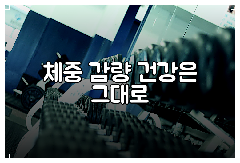 체중 감량 건강은 그대로