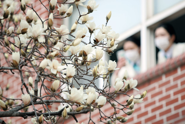 계절의 변화를 세분화한 24 절기 중 '경칩' 이해하기