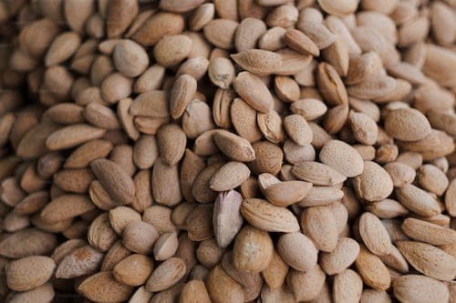 쾌변이 필요하다면 차전자피 식이섬유(100% 유기농)