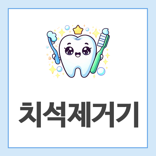 치석제거기