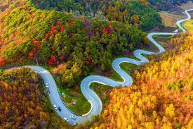 가을단풍 드라이브 코스