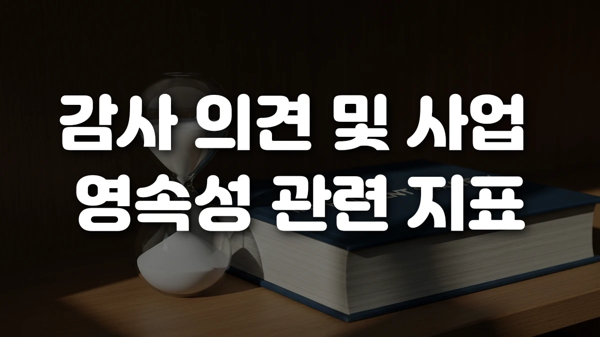 감사 의견 및 사업 영속성 관련 지표