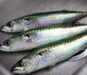 비타민D 부족 증상 섭취방법 많은 음식